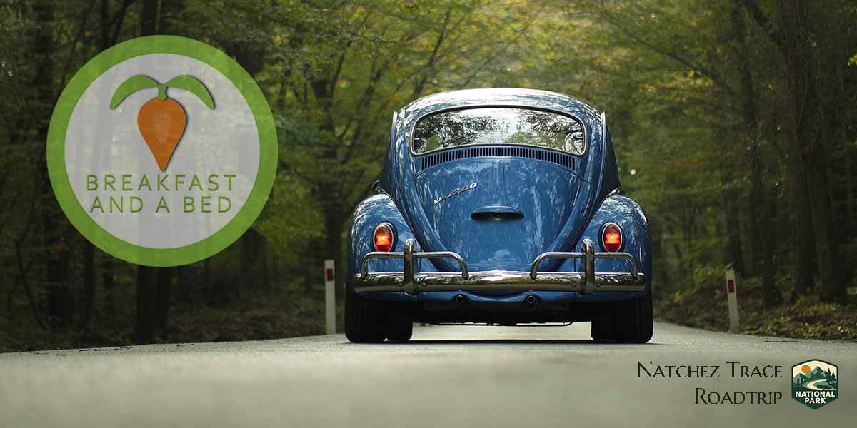 Image inspiring you to explore scenic stops along the Natchez Trace