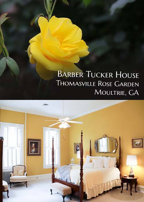 Best Bed and Breakfasts 1