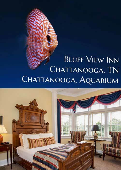 Bluff View Inn Chattanooga