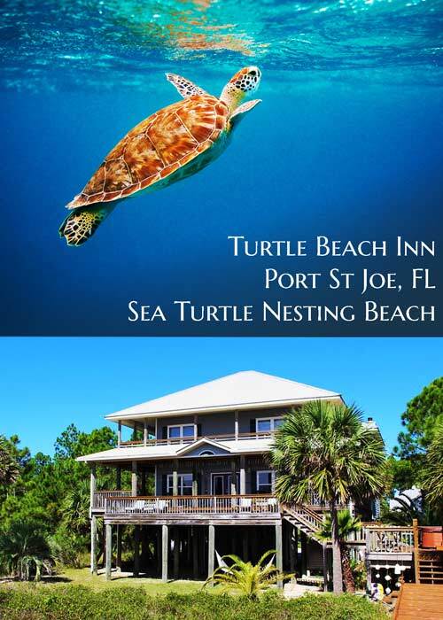 Best Bed and Breakfast 3